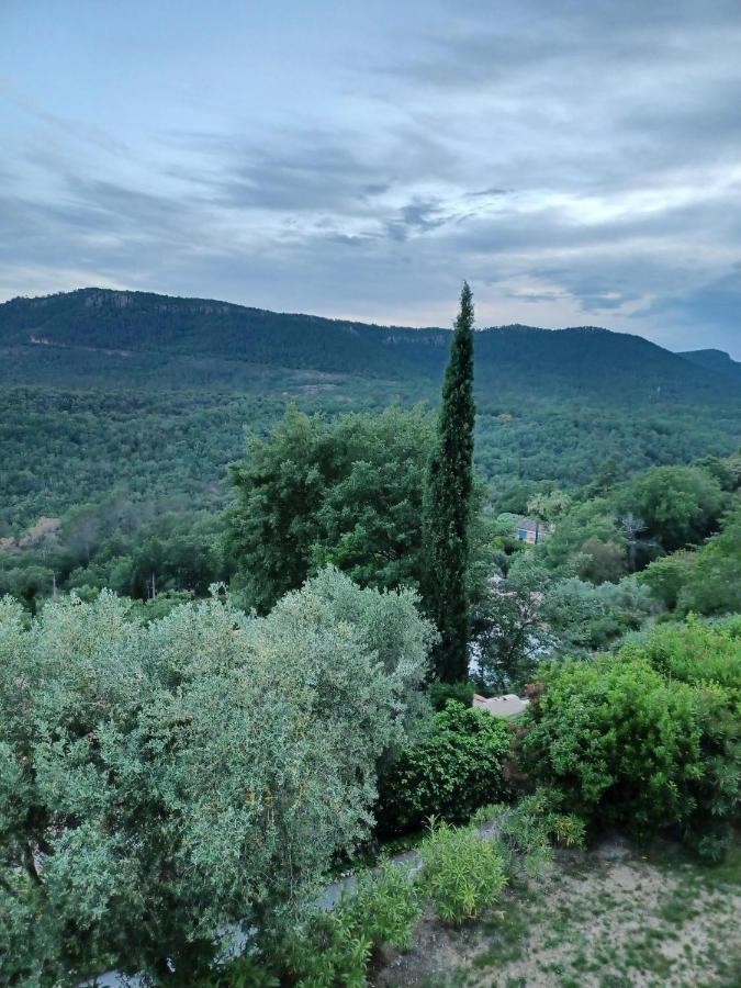Le Logis De Saint-Antoine Ξενοδοχείο Bagnols-en-Forêt Εξωτερικό φωτογραφία